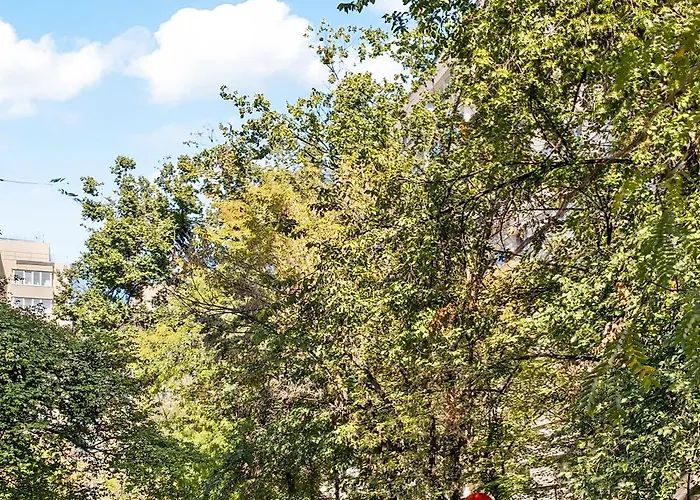 De Lux Drumul Taberei Бухарест