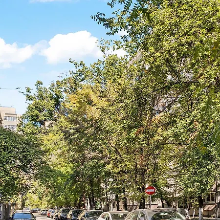 De Lux Drumul Taberei Boekarest